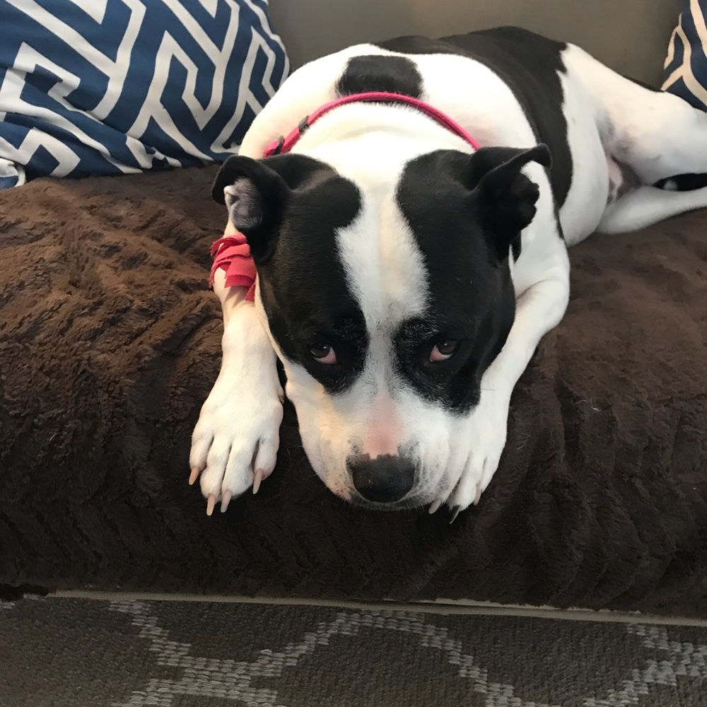 Meet your Posher, Mel